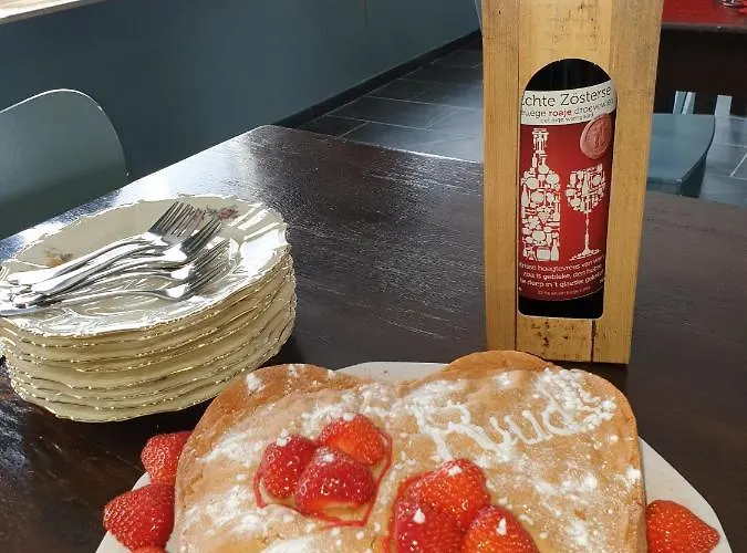 't Merthoes 4* Susteren